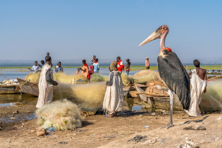 011 Hawassa, vismarkt.jpg